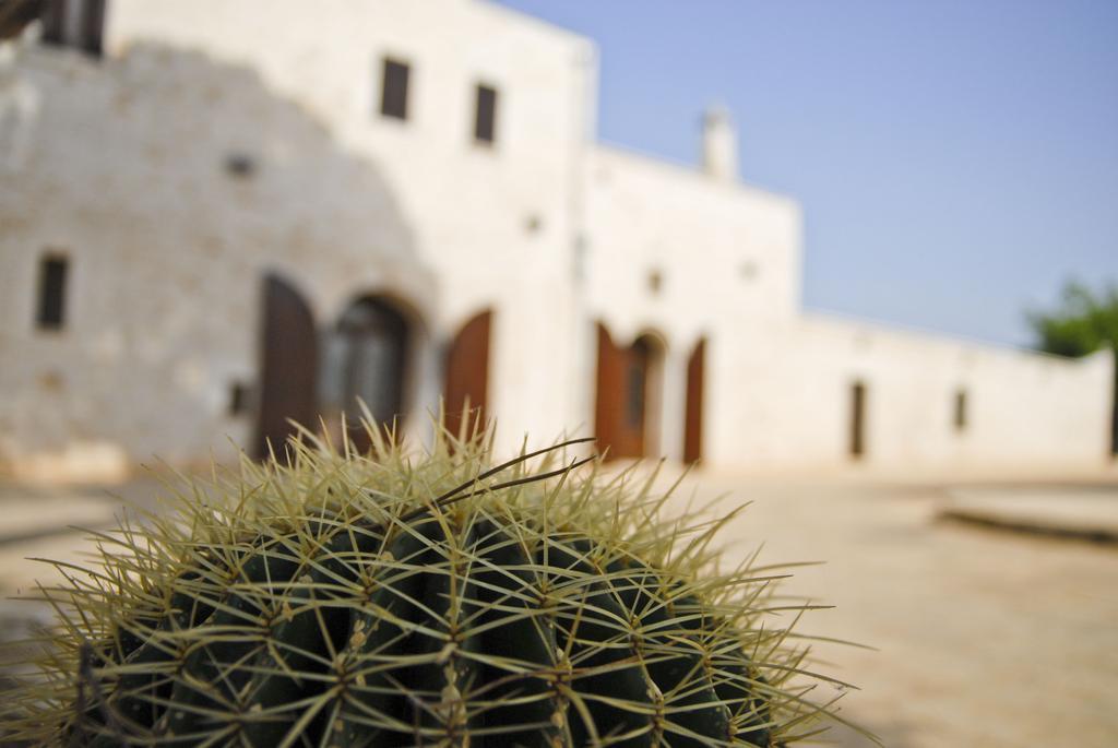 Masseria Valente 오스투니 객실 사진